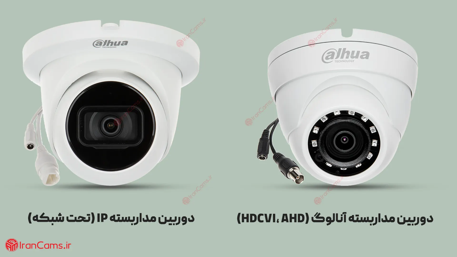Dome دام irancams.ir