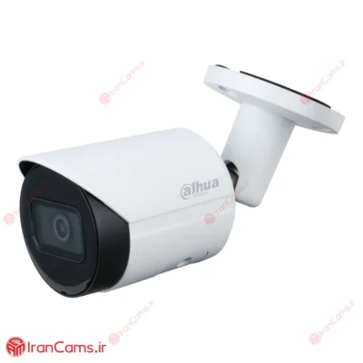دوربین مداربسته تحت شبکه داهوا Dahua CCTV DH-IPC-HFW2230SP-S-S2 irancams.ir