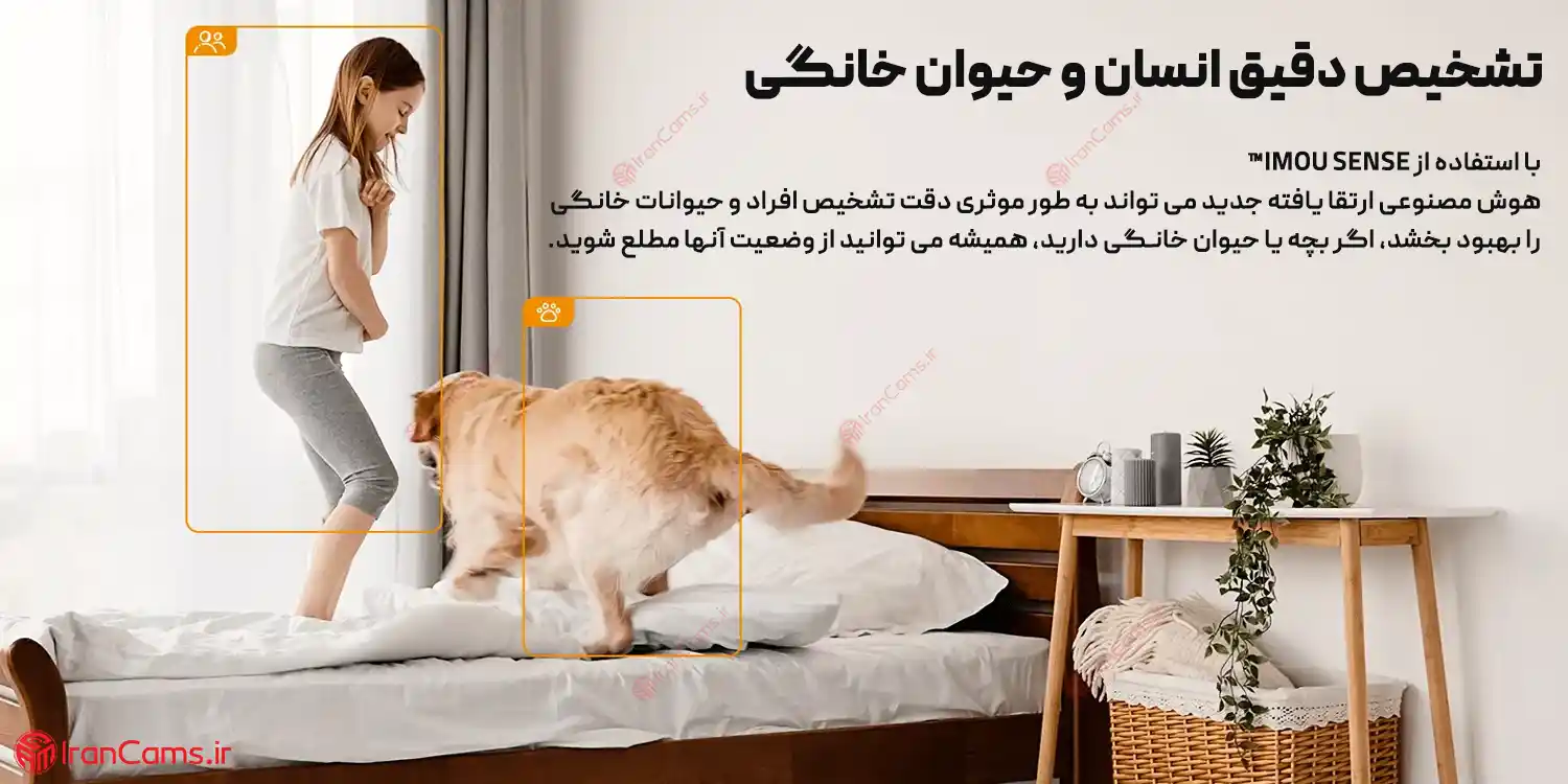نمایندگی دوربین آیمو در تهران