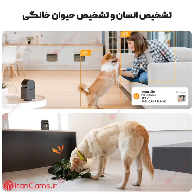 خرید دوربین آیمو رکس
