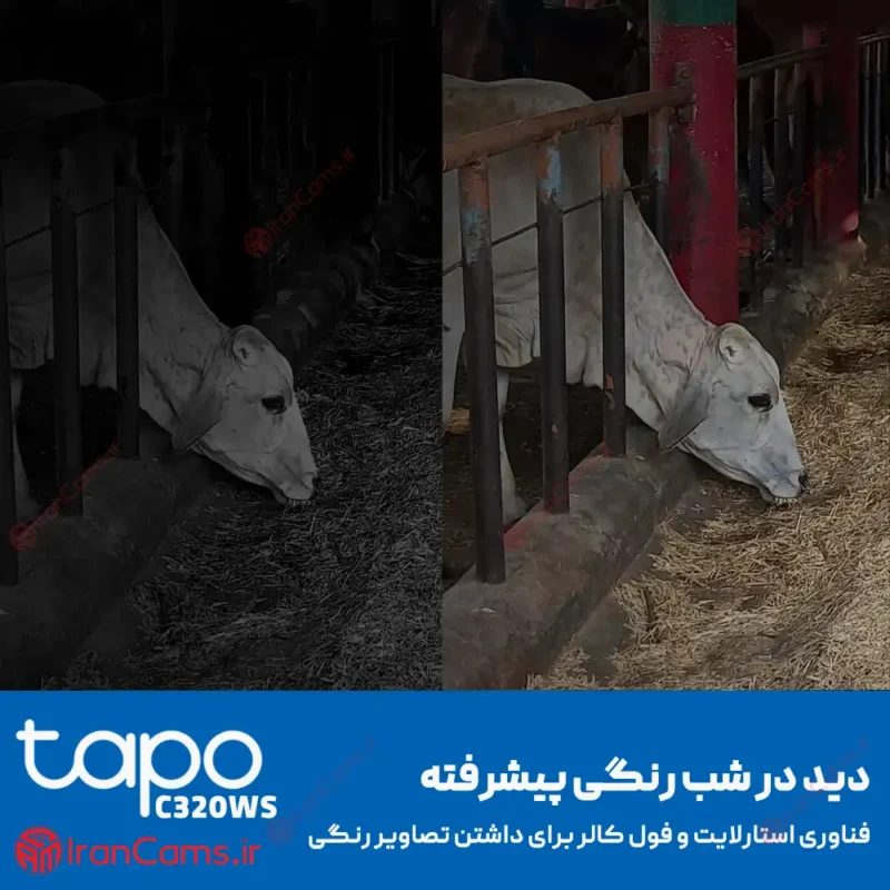 دوربین مداربسته بیسیم تپو مدل Tapo C320WS V2.20
