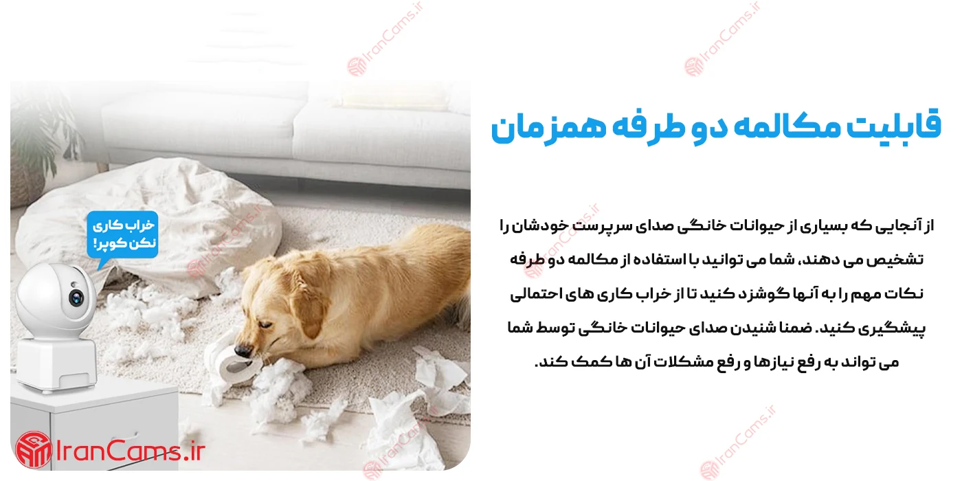 دوربین گردنی گربه