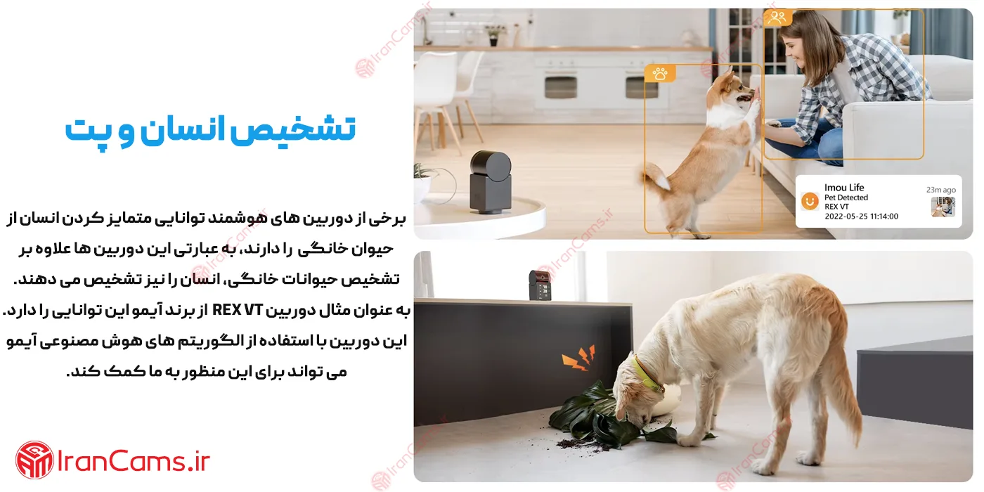 قیمت دوربین سگ