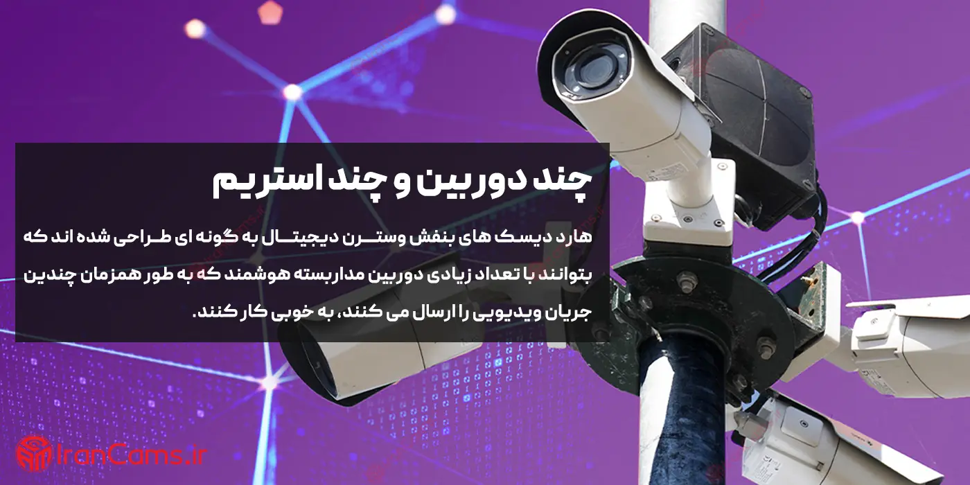هارد وسترن بنفش