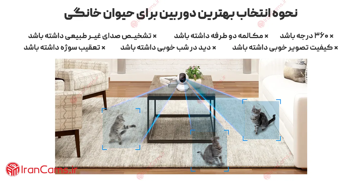 دوربین گربه