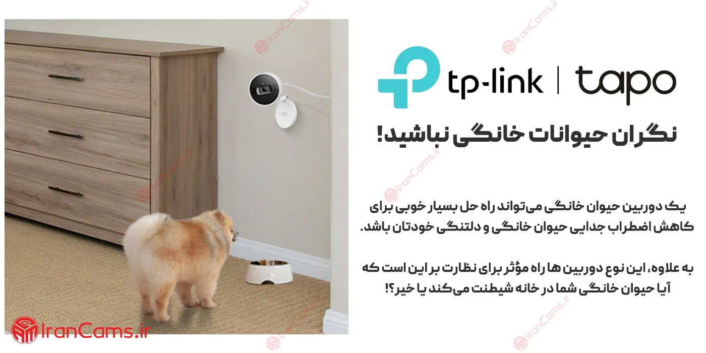 دوربین حیوان خانگی تپو