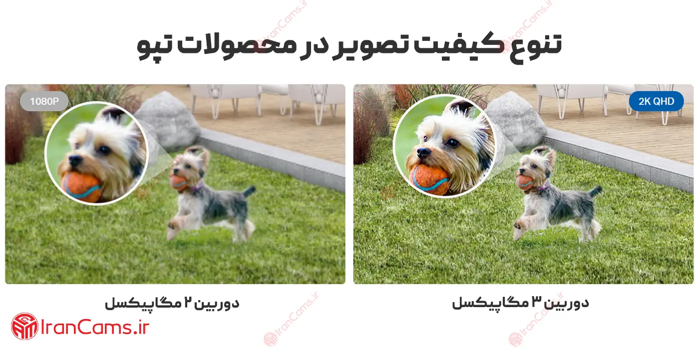 دوربین سگ