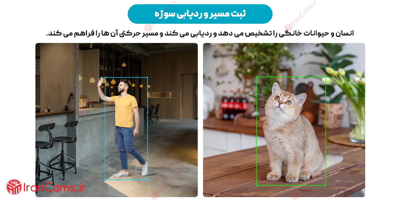 دوربین تشخیص حیوان داهوا