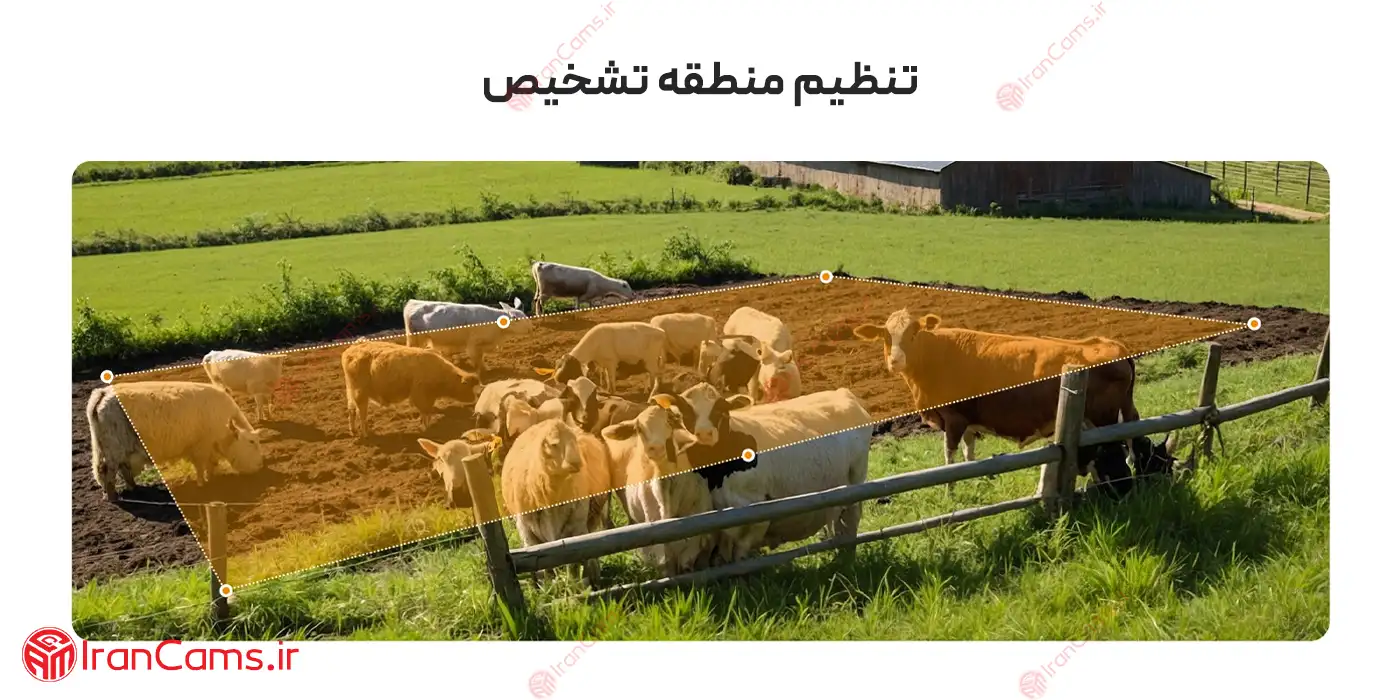 تنظیمات دوربین آیمو