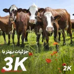 قیمت دوربین 5 مگ آیمو
