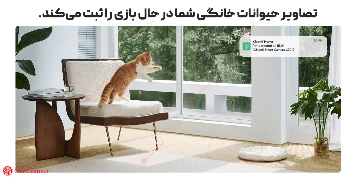 دوربین پت شیائومی